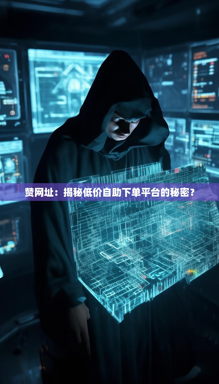 赞网址：揭秘低价自助下单平台的秘密？