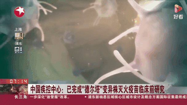 上海现确诊感染德尔塔变异株，上海有无德尔塔病毒？